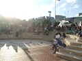 Previous Image