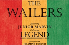 THE WAILERS FEAT. JUNIOR MARVIN