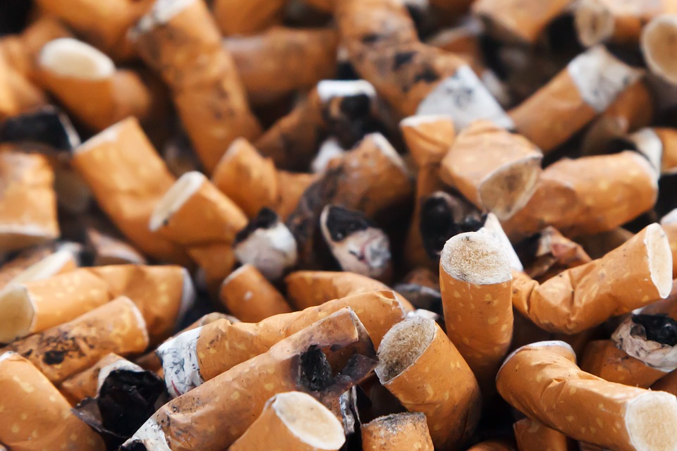 Frank Tabacco Factsheet