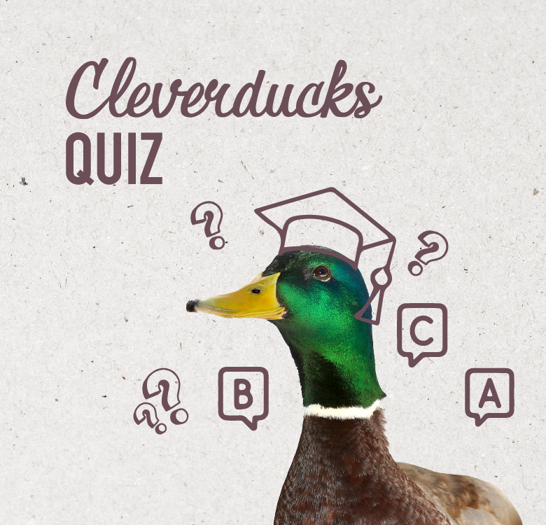 Cleverducks Pub Quiz Image
